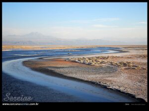 Rio no Atacama. foto: Reinaldo Gama