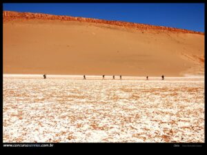 Salar do Atacama. foto: Reinaldo Gama